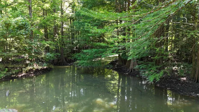 $11,000,000 | 2521 Old Ferry Road, Bath Springs, TN 38311