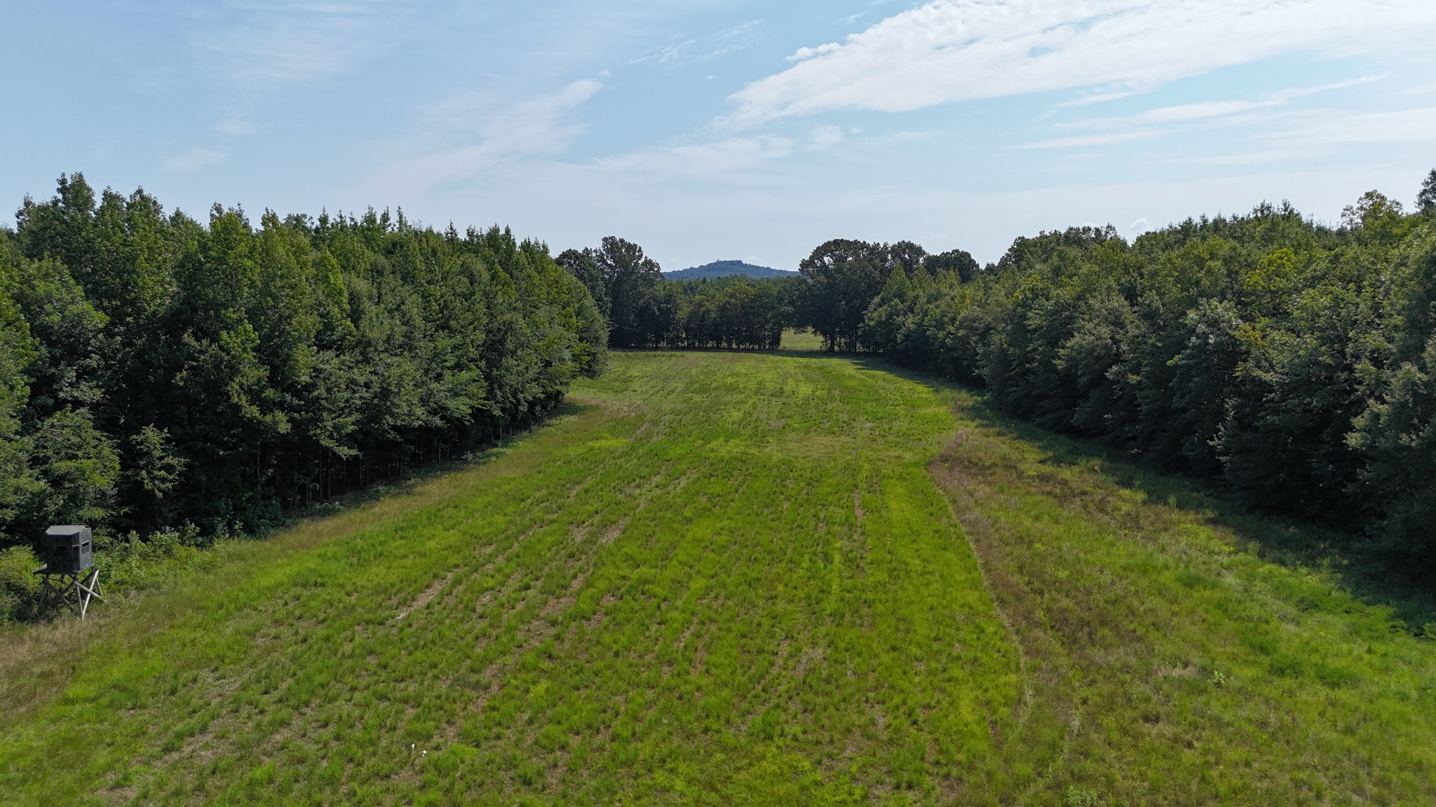2521 Old Ferry Road Bath Springs, TN 38311 - Photo 73 of 100