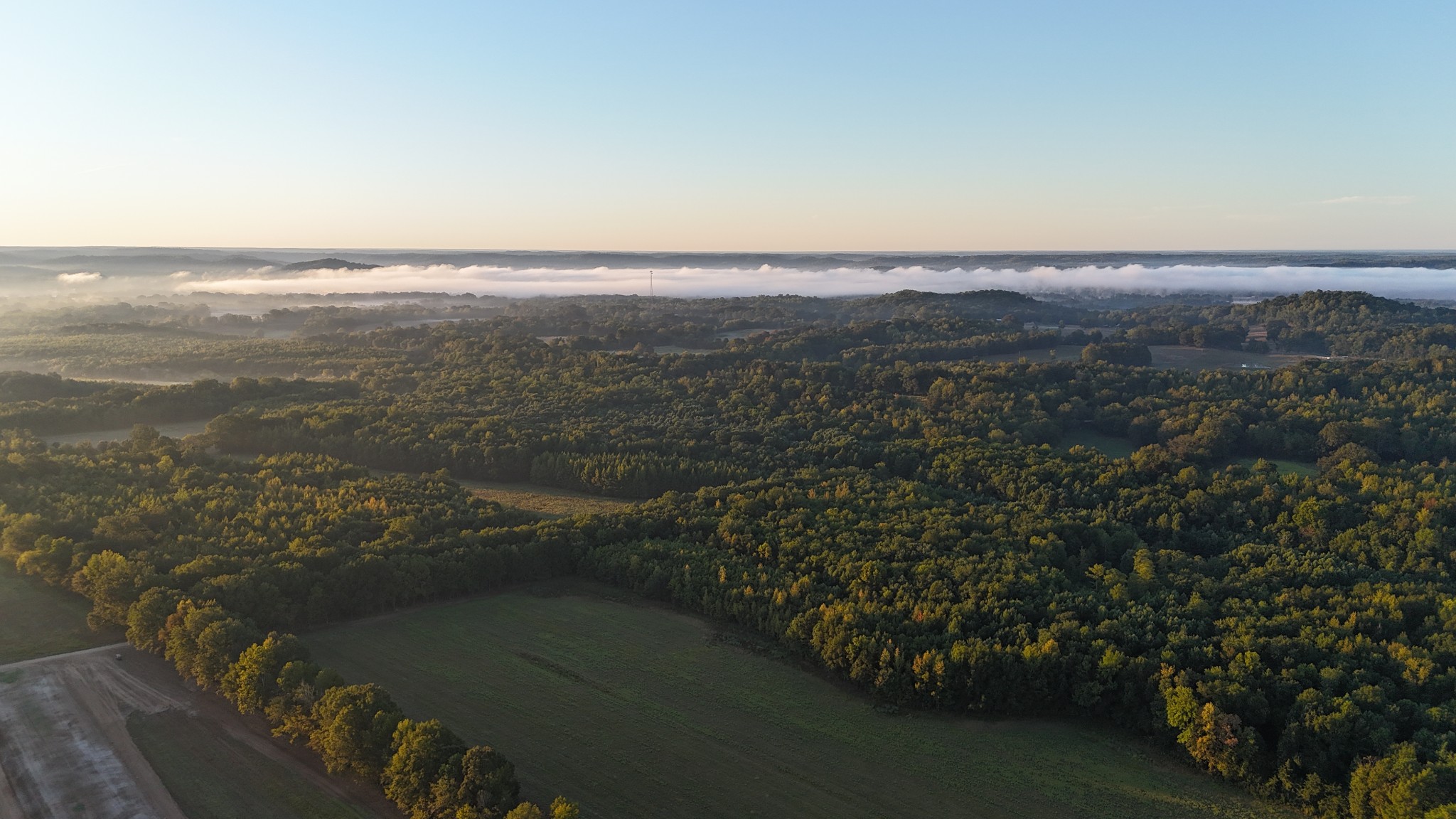 2521 Old Ferry Road Bath Springs, TN 38311 - Photo 83 of 100