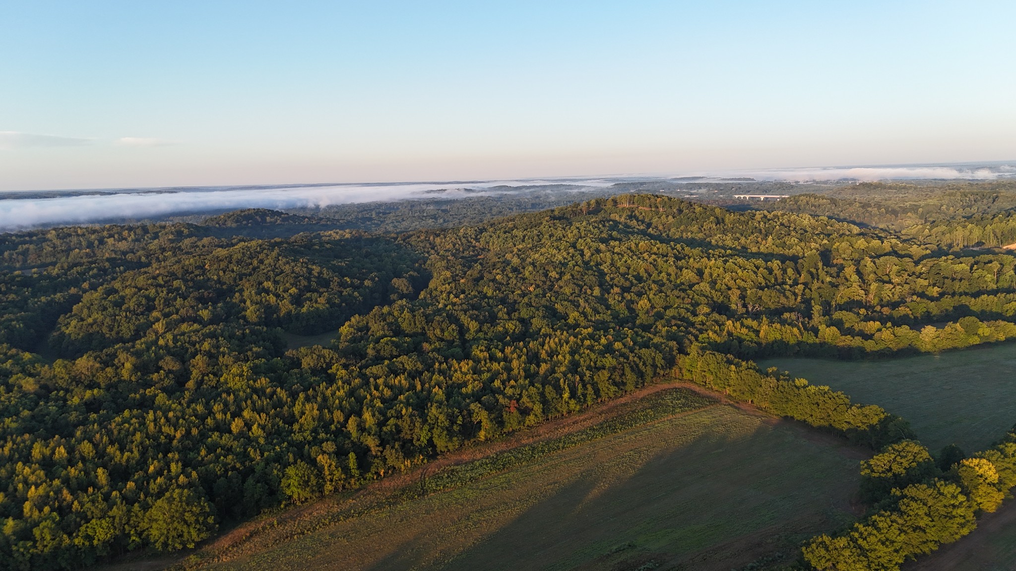2521 Old Ferry Road Bath Springs, TN 38311 - Photo 84 of 100