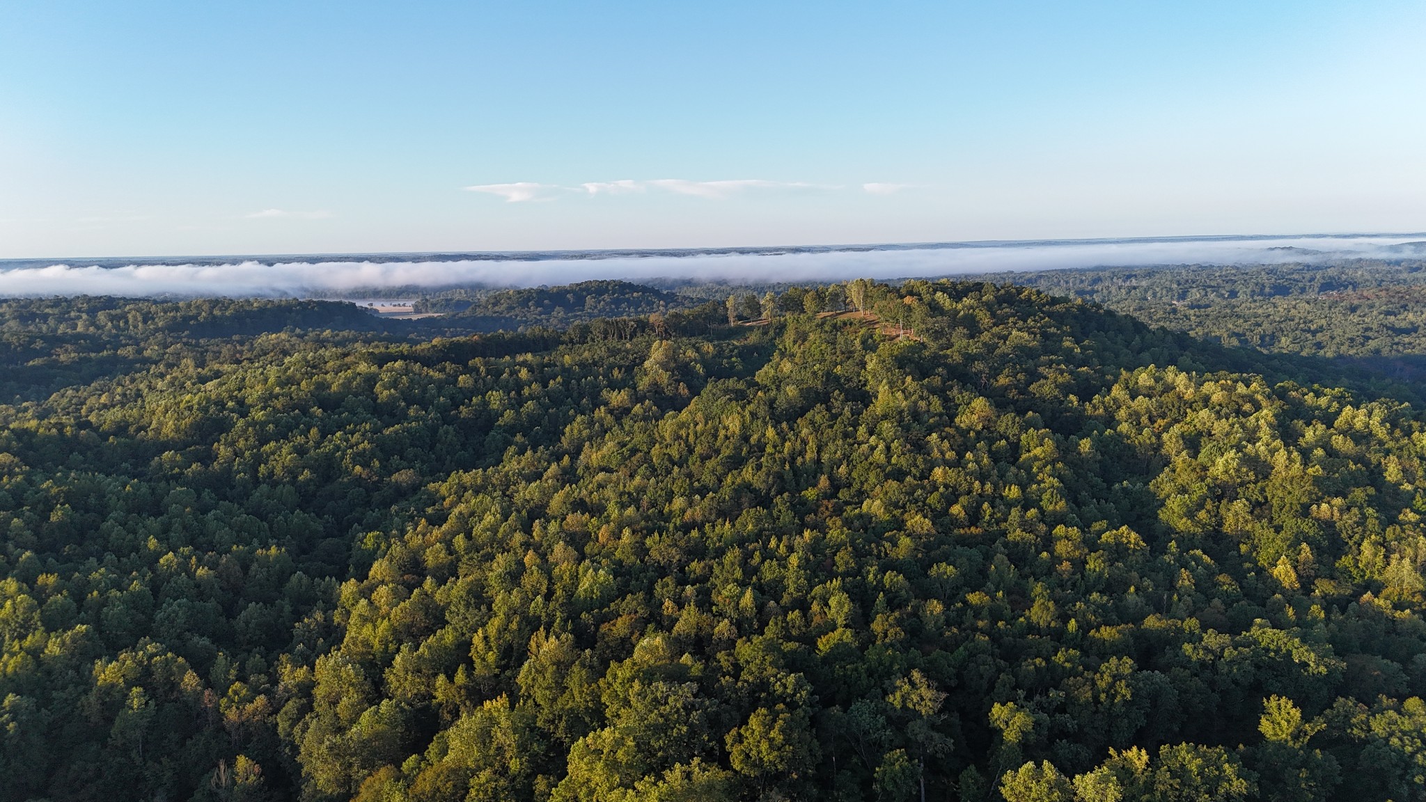 2521 Old Ferry Road Bath Springs, TN 38311 - Photo 89 of 100