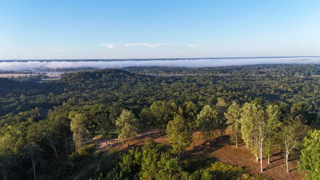 $11,000,000 | 2521 Old Ferry Road, Bath Springs, TN 38311