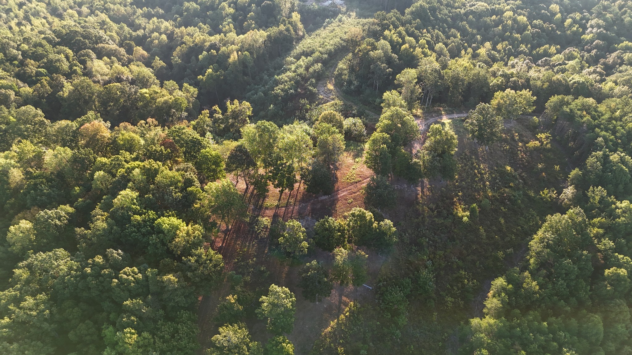 2521 Old Ferry Road Bath Springs, TN 38311 - Photo 92 of 100