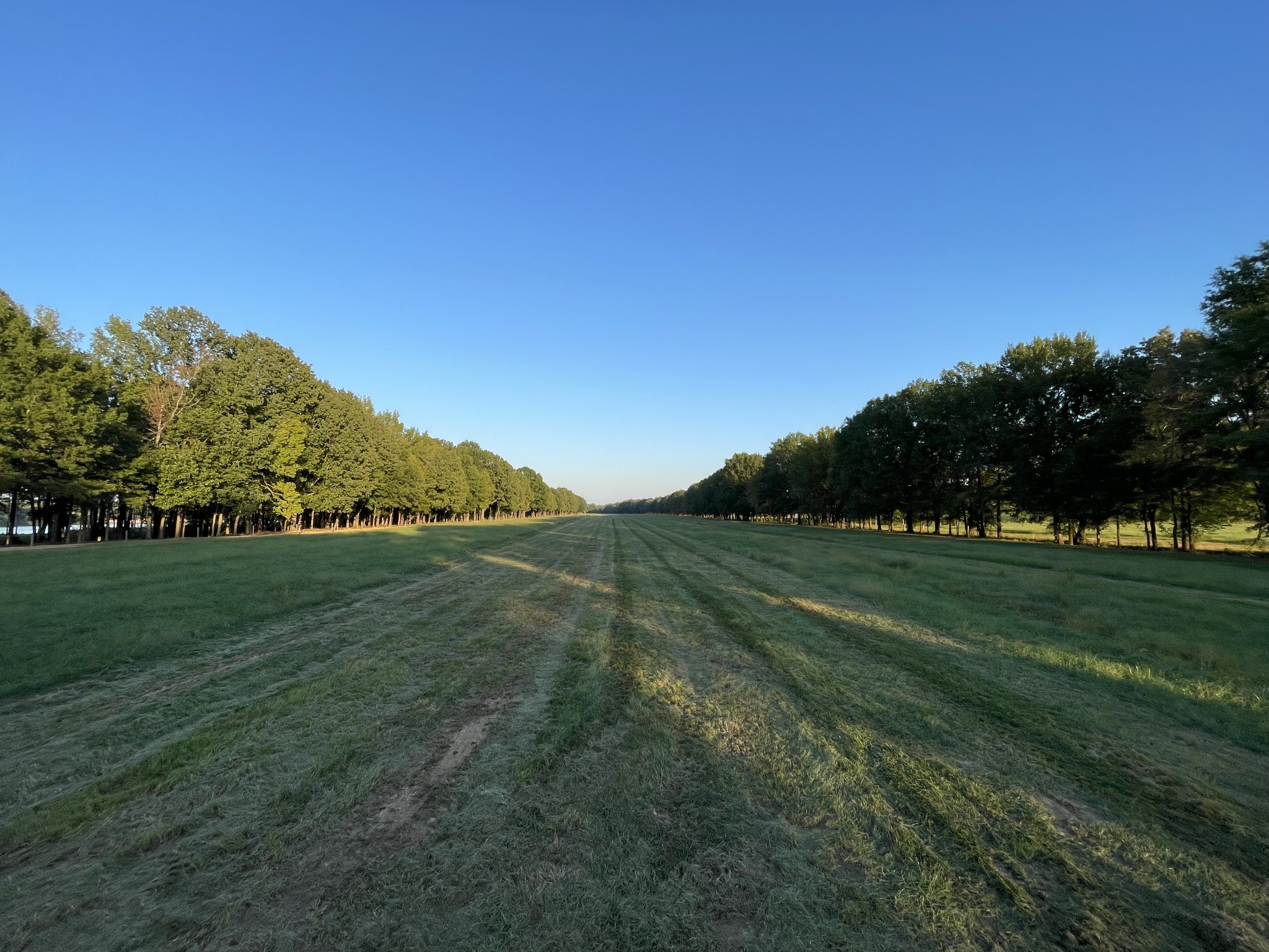 2521 Old Ferry Road Bath Springs, TN 38311 - Photo 96 of 100