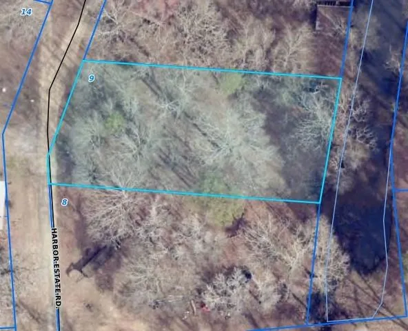 a view of a dry yard with trees and stairs