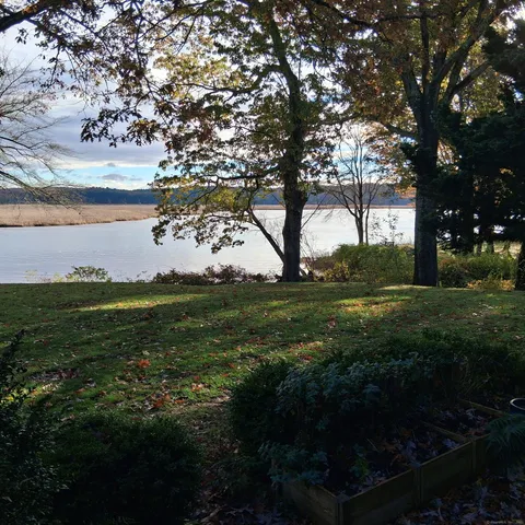 a view of a garden with an trees