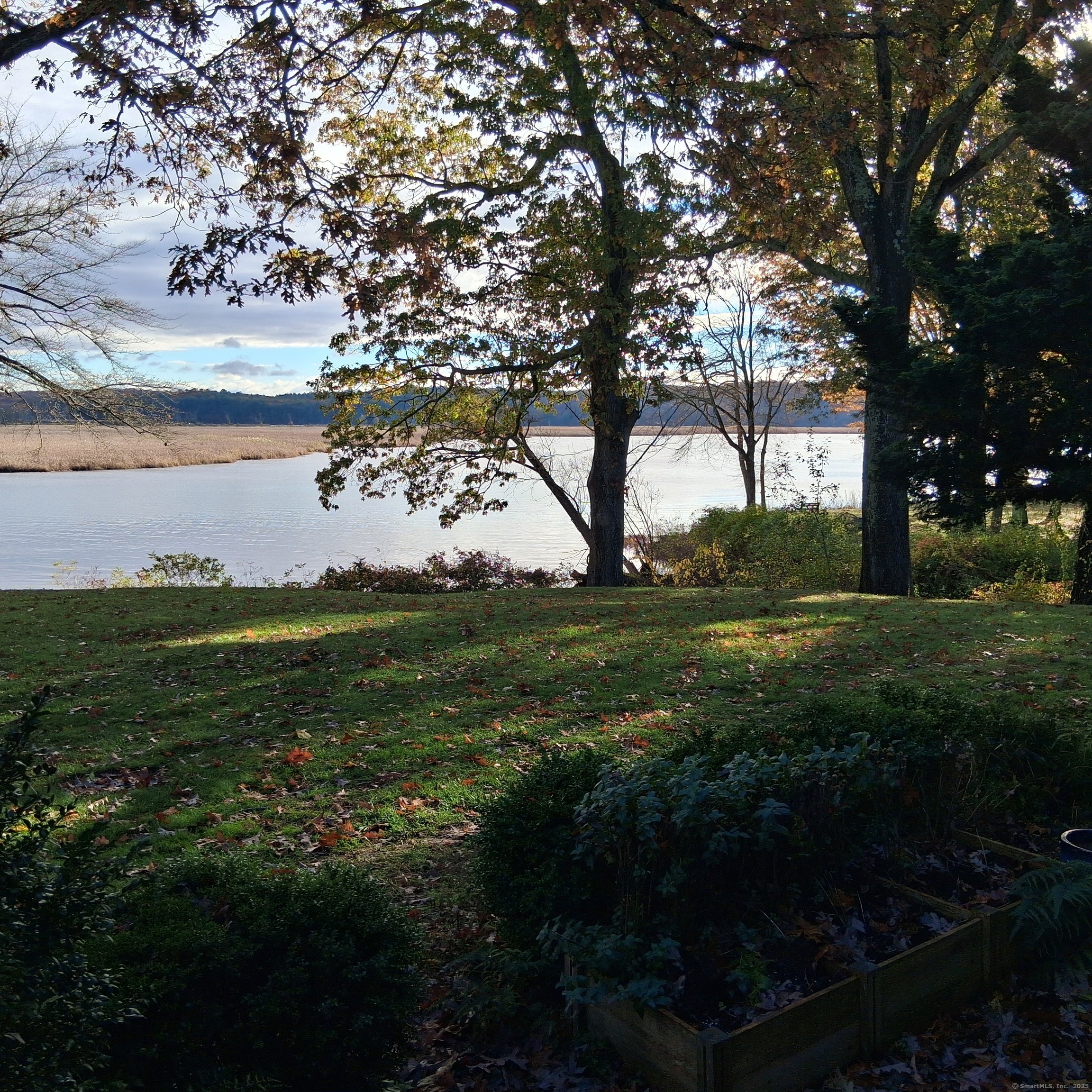 a view of a garden with an trees