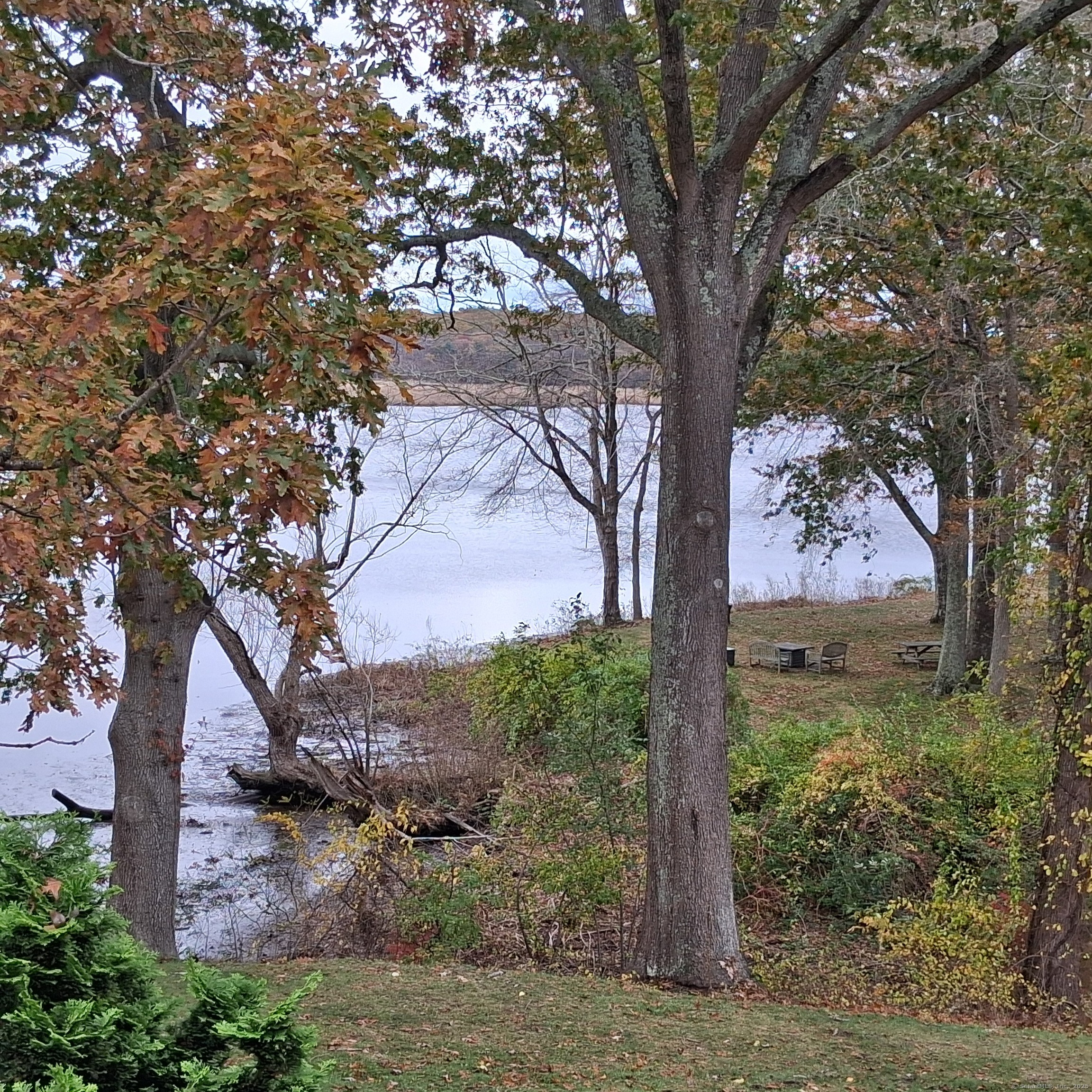 85 River Road, Unit B7 Essex, CT 06426 - Photo 4 of 23 a view of tree
