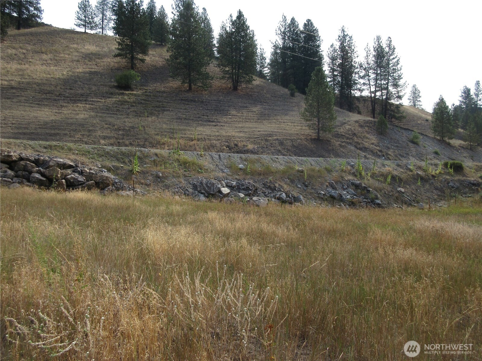 9999 Customs Road Curlew, WA 99118 - Photo 7 of 14 Gallery Image 7