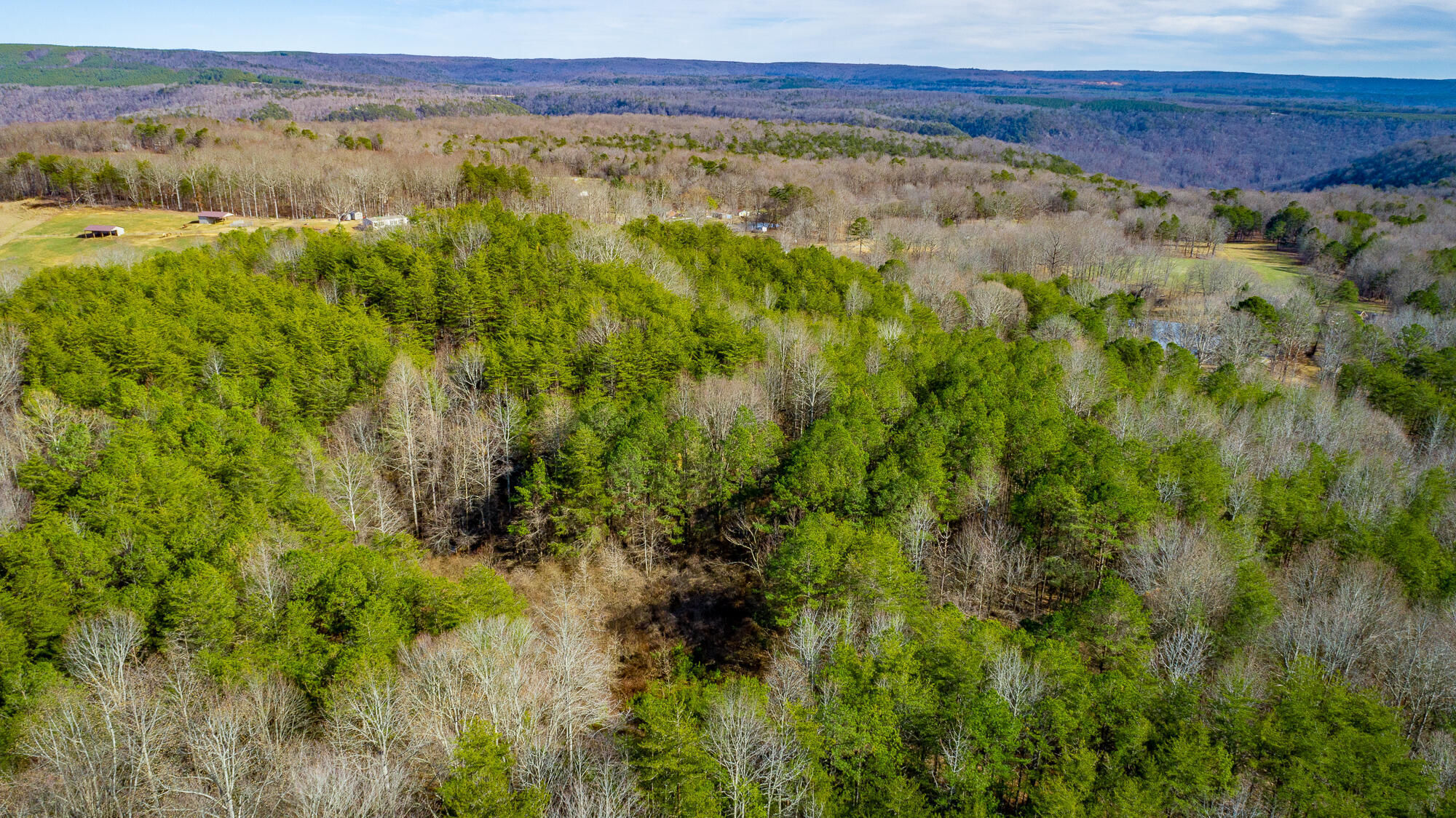 0 Greentown Road Tracy City, TN 37387 - Photo 12 of 34 Greentown Rd. HD-25