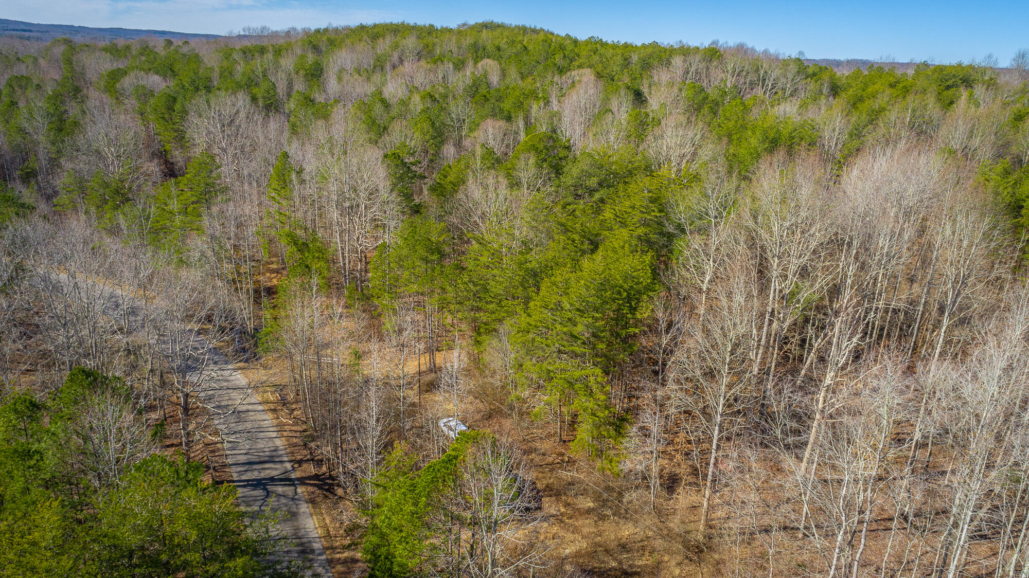 0 Greentown Road Tracy City, TN 37387 - Photo 27 of 34 Greentown Rd. HD-2