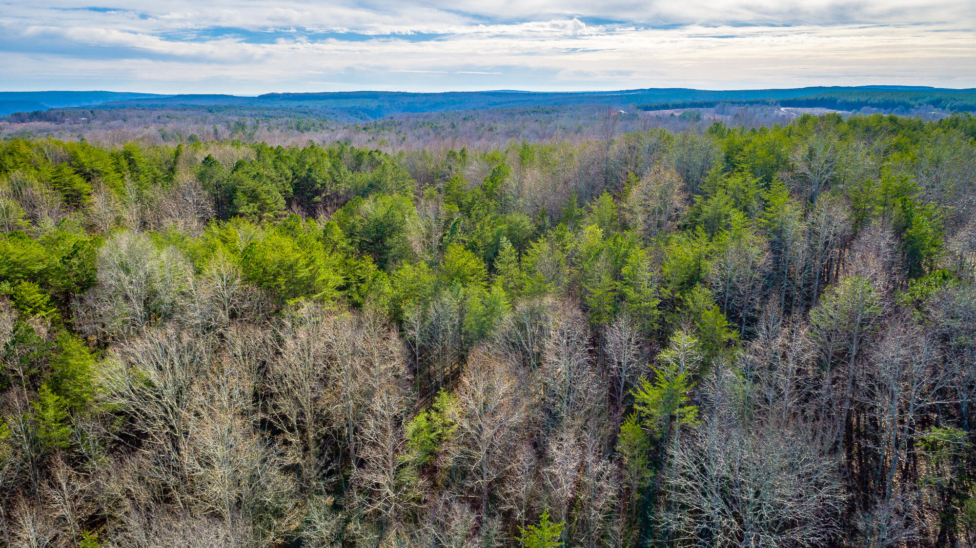 0 Greentown Road Tracy City, TN 37387 - Photo 34 of 34 Greentown Rd. HD-9