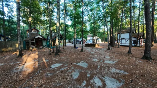 a view of a outdoor space with lots of trees
