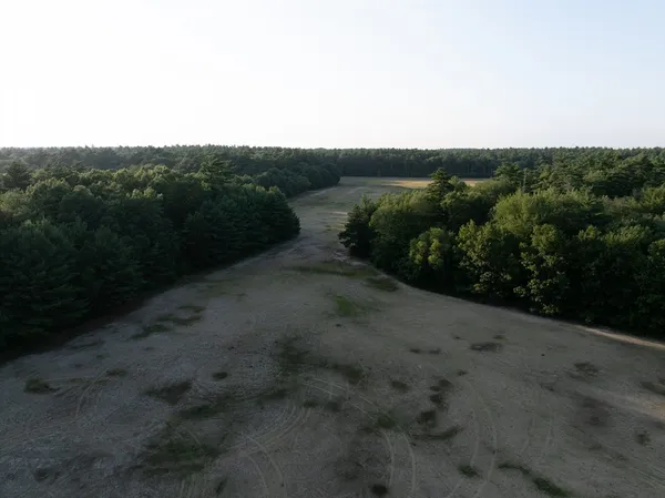 a view of a yard with plants