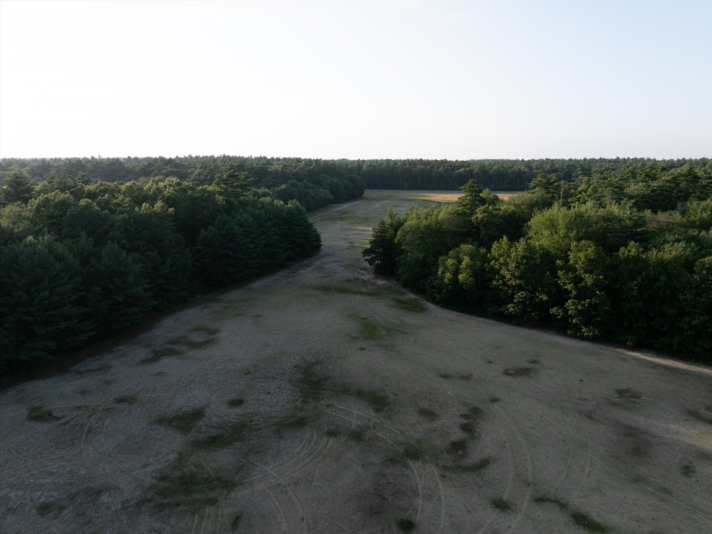235 South Main Street Carver, MA 02330 - Photo 19 of 34 a view of a yard with plants