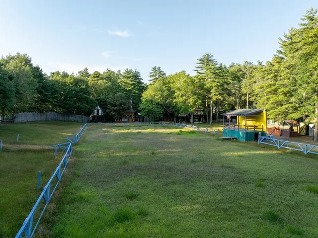 a view of a park with large trees