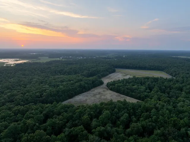 a view of a pathway both side of grassy field with shrub