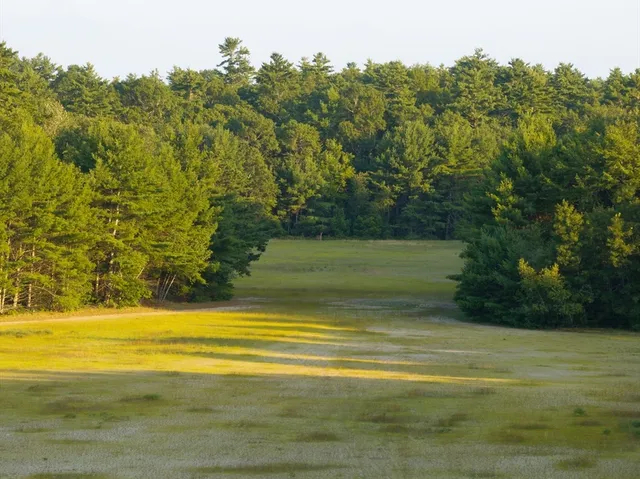 a view of an ocean and trees