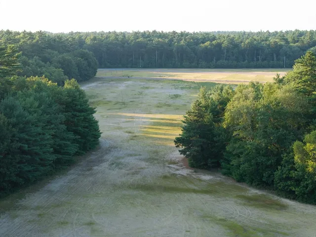 a view of a back yard