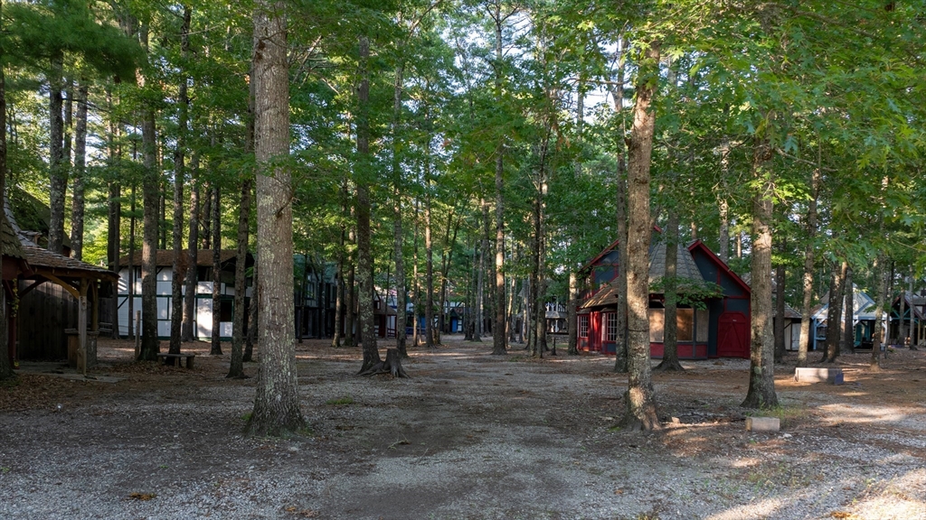 235 South Main Street Carver, MA 02330 - Photo 5 of 34 a view of street with trees