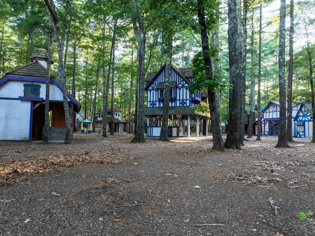 a view of a large house with a yard and large trees
