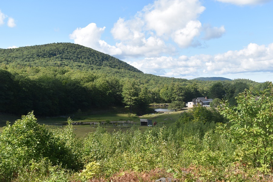 345 Deer Valley Road Bradford, NH 03221 - Photo 4 of 14