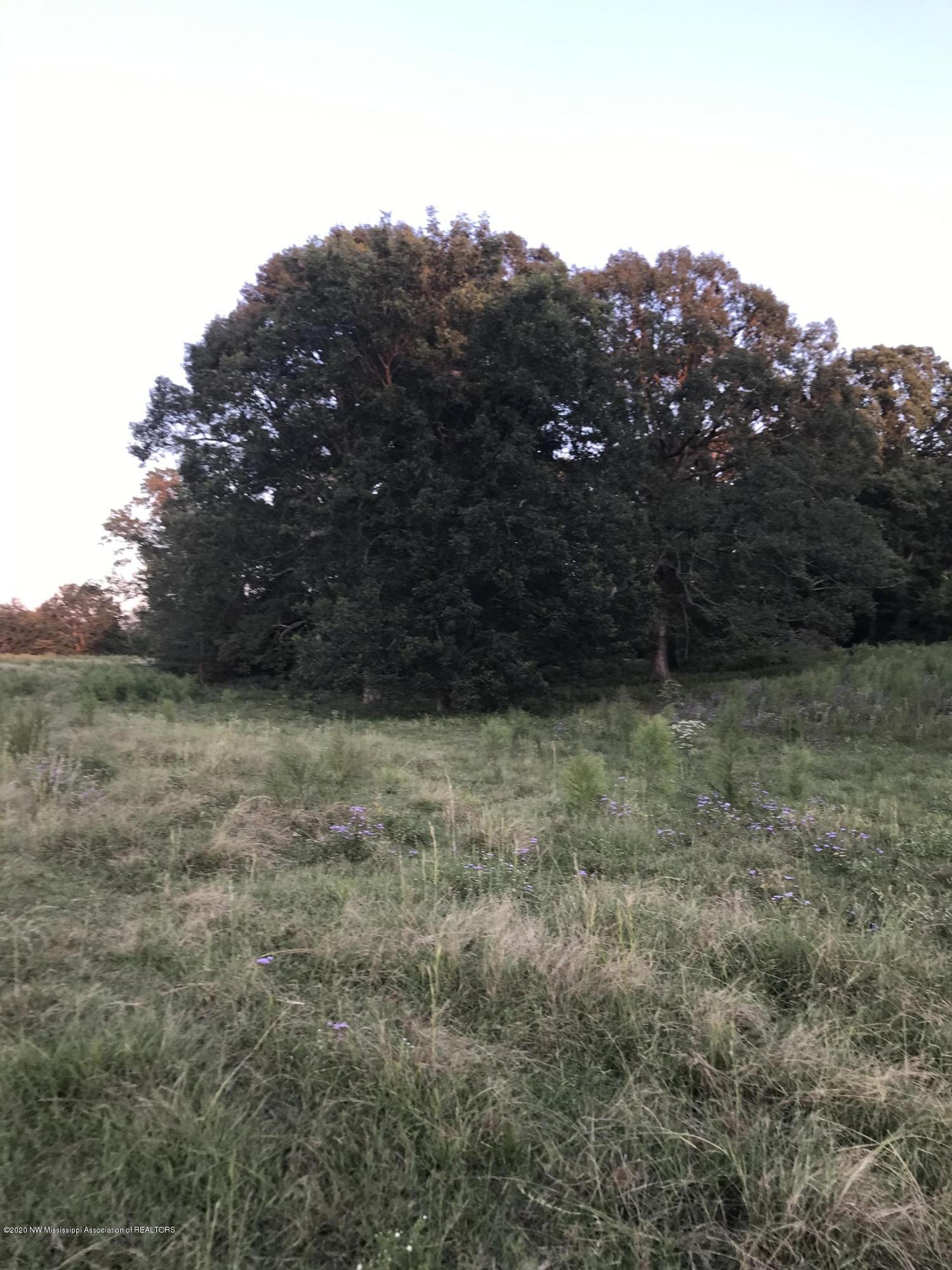 155 Baylor Road Senatobia, MS 38668 - Photo 8 of 16 9-155