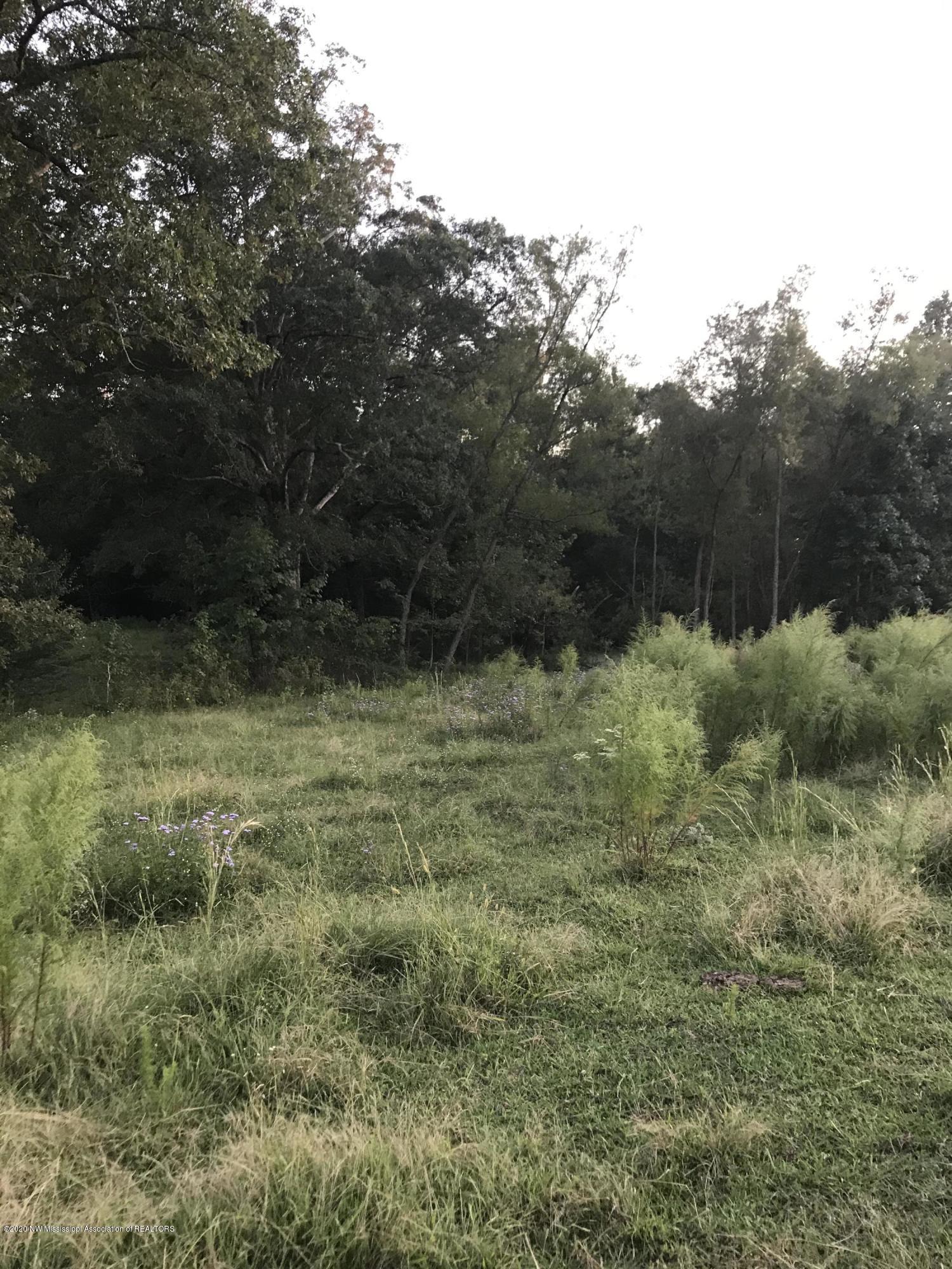 155 Baylor Road Senatobia, MS 38668 - Photo 10 of 16 11-155