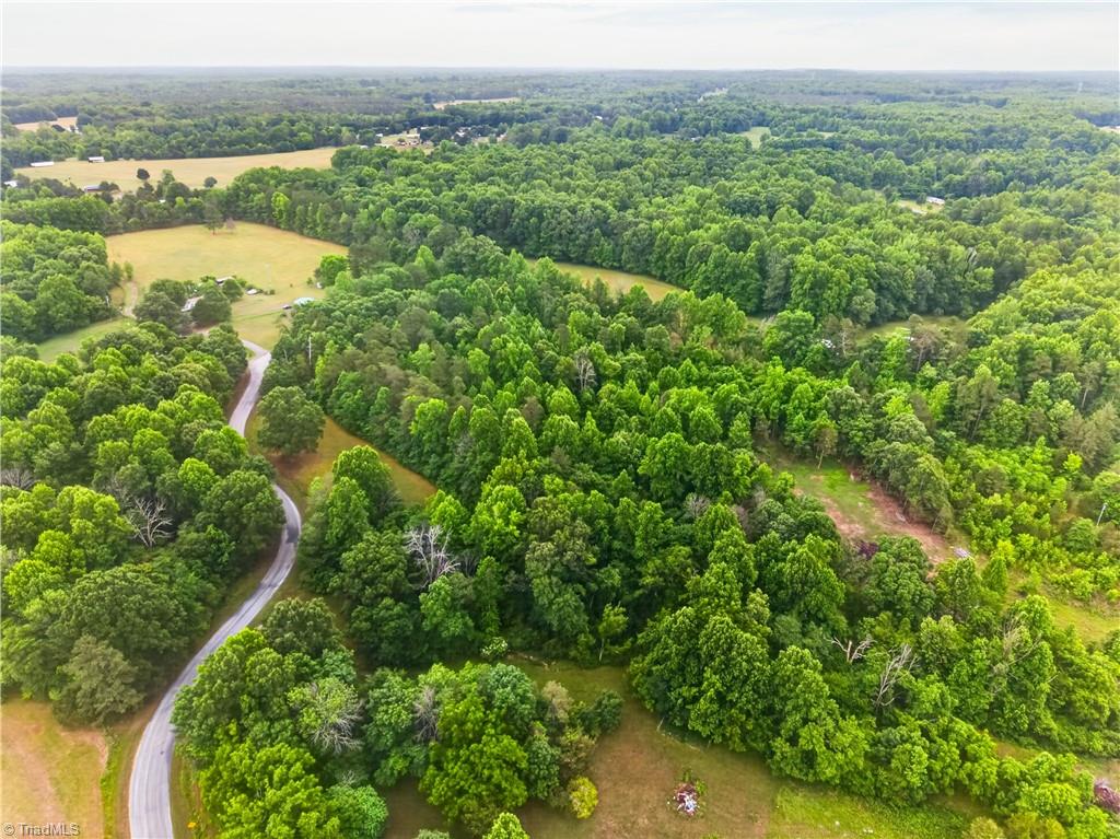 7436 Chaseford Road Liberty, NC 27298 - Photo 9 of 14
