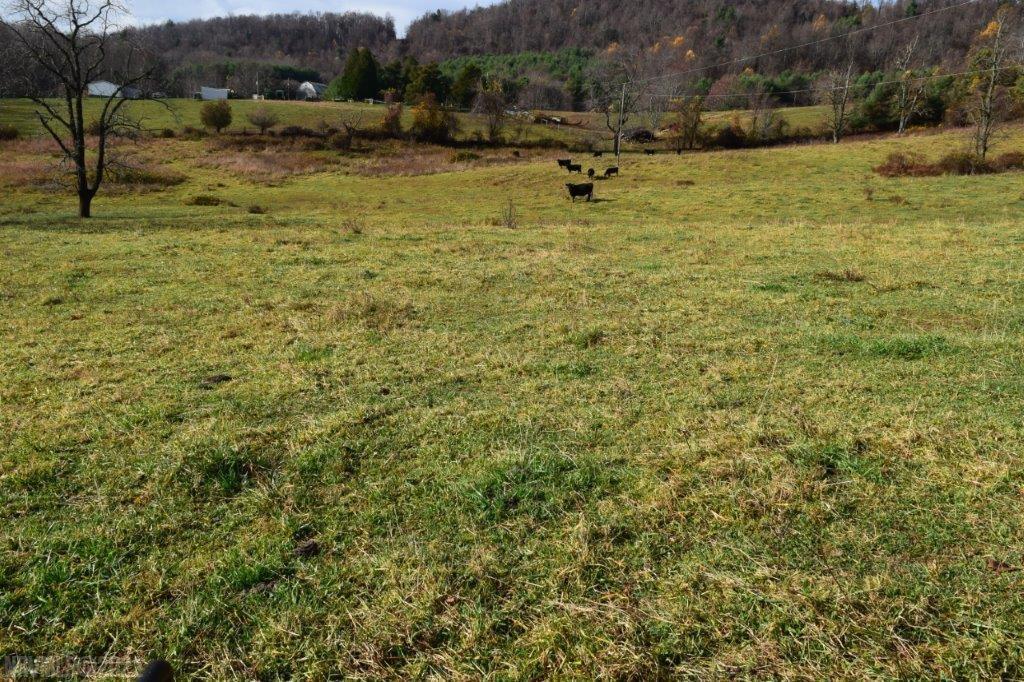 Tbd Fairview Church Road Southwest Floyd, VA 24091 - Photo 12 of 17 Gallery Image 12