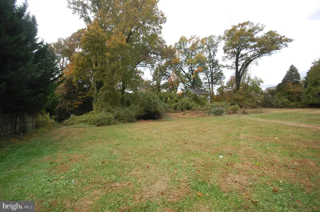 a view of a field with trees in background