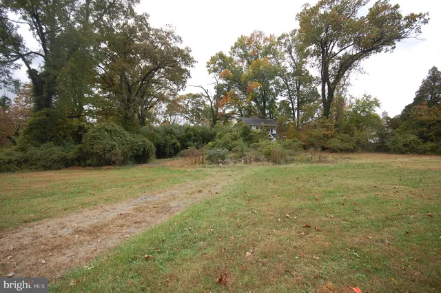 a view of a field with trees