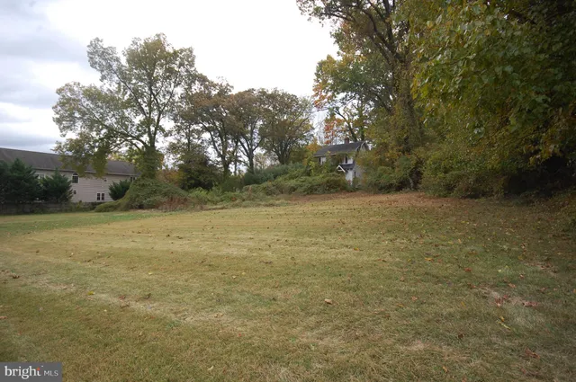 a view of a field with trees in background