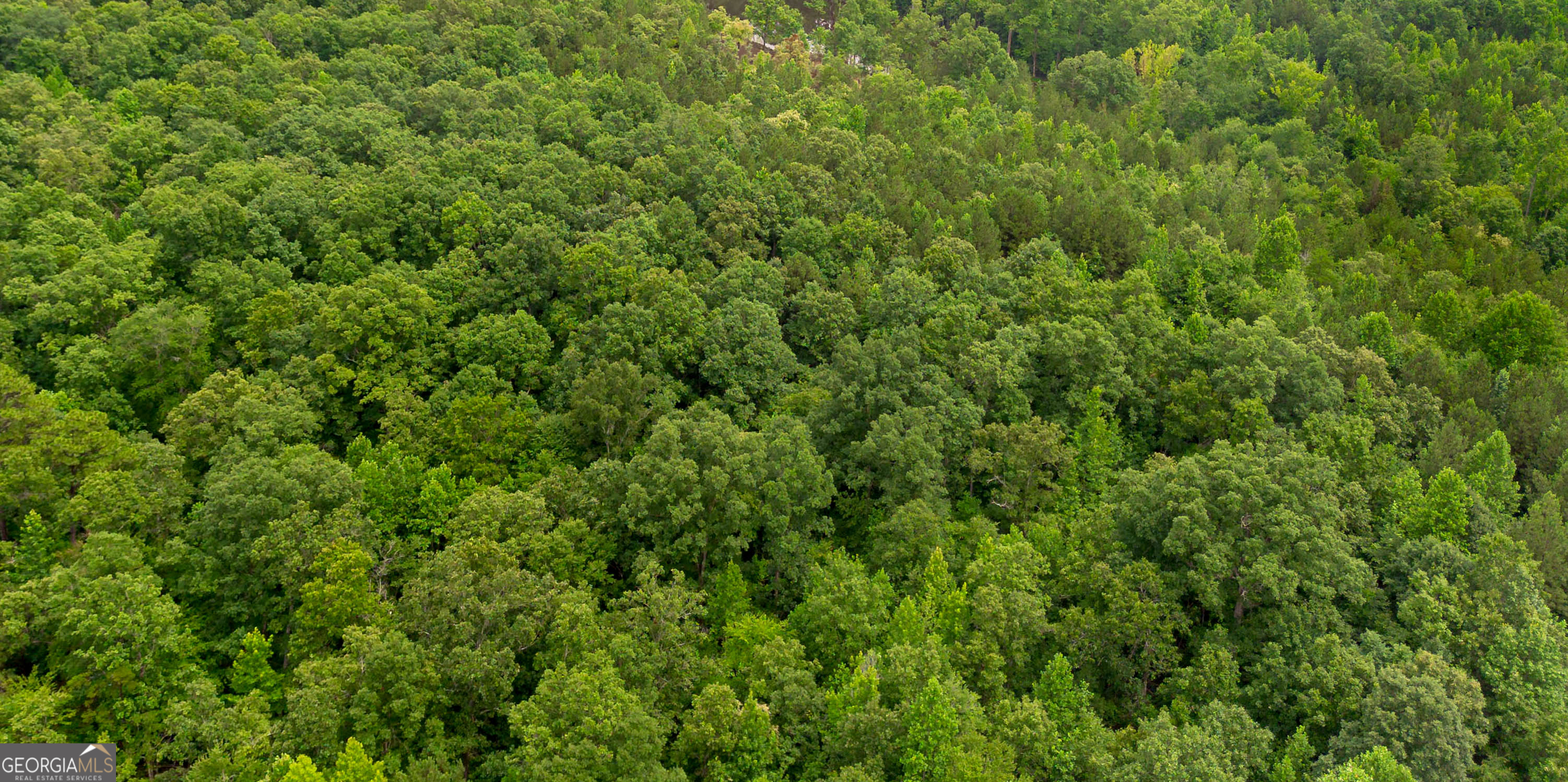 0 Vinyard Fruithurst, AL 36262 - Photo 5 of 8
