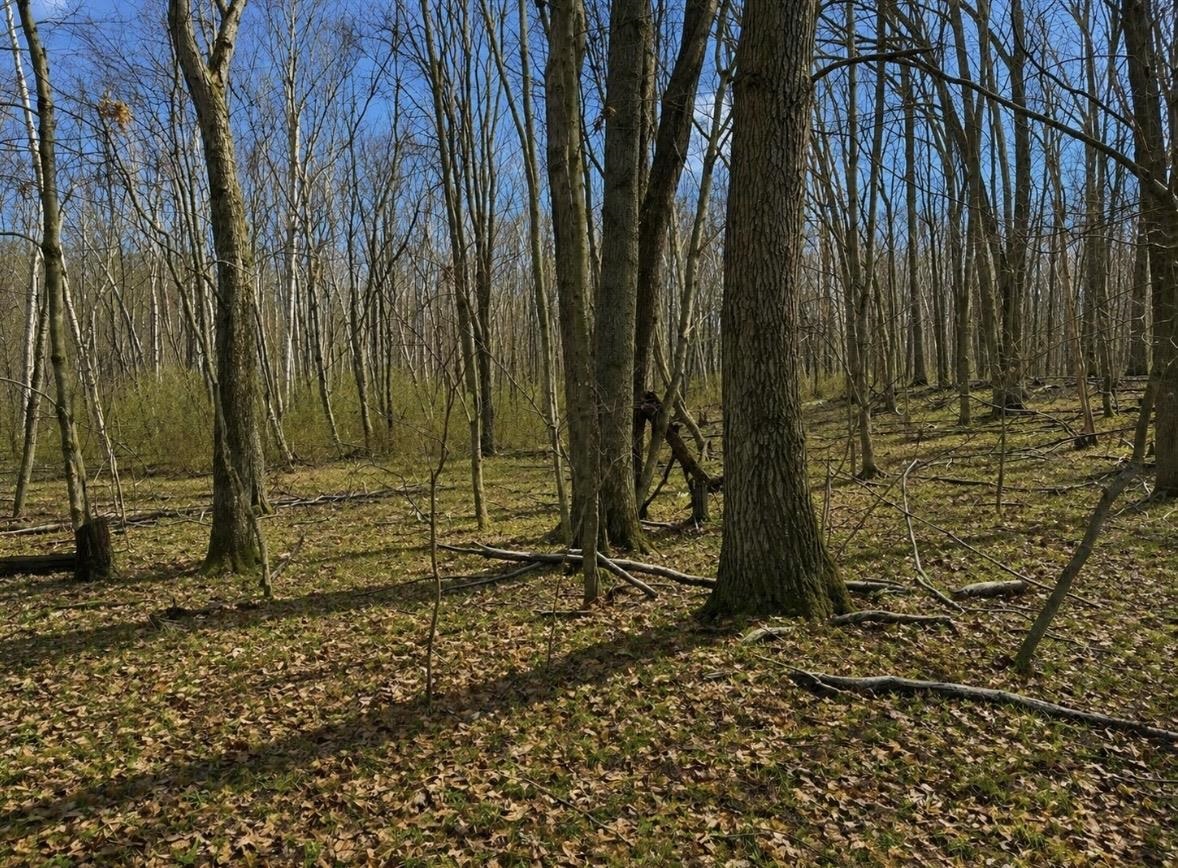 Lot 967 Cherry Road Farwell, MI 48622 - Photo 2 of 6