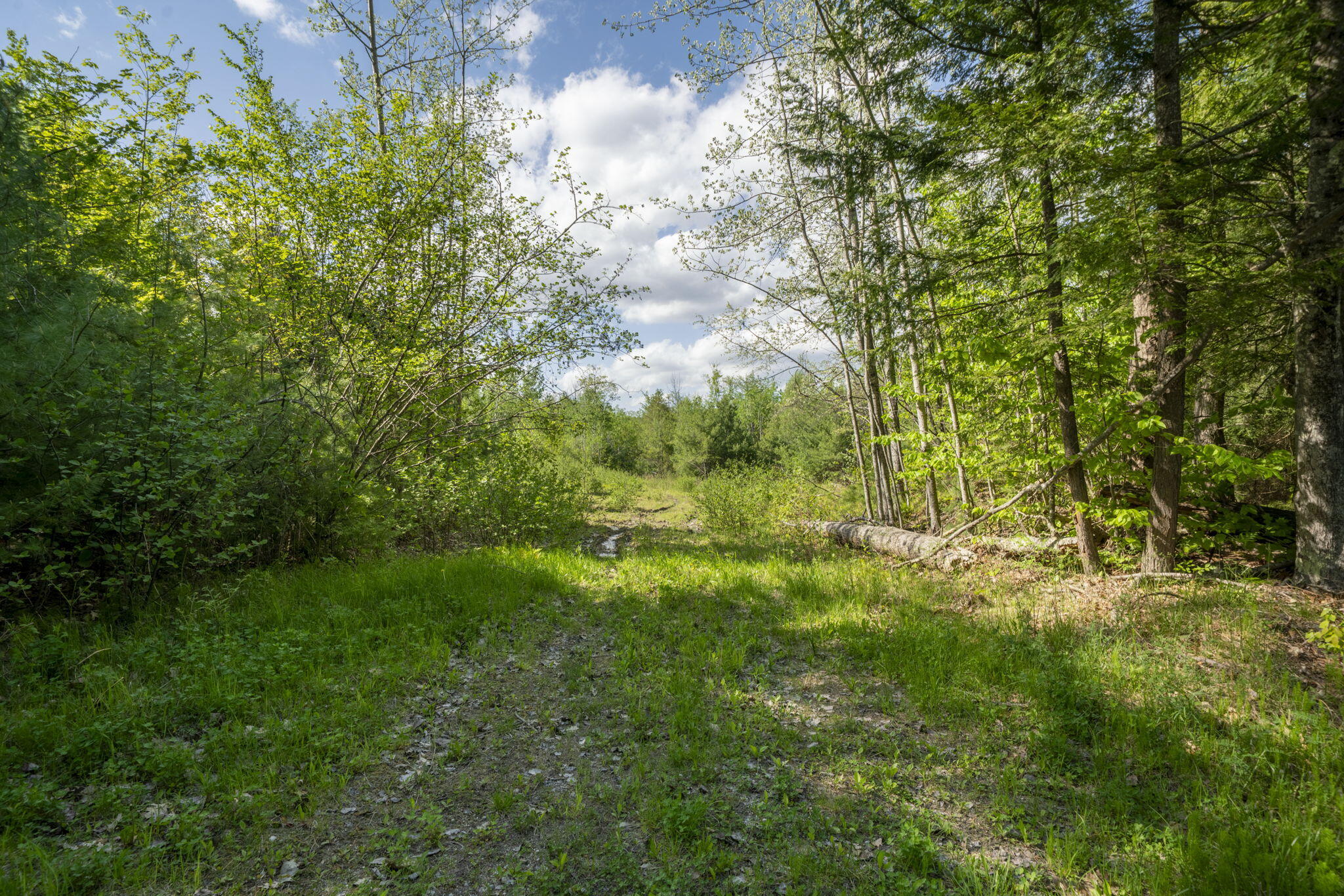 56 Burnham Road Limerick, ME 04048 - Photo 4 of 15 55 Burnham-1