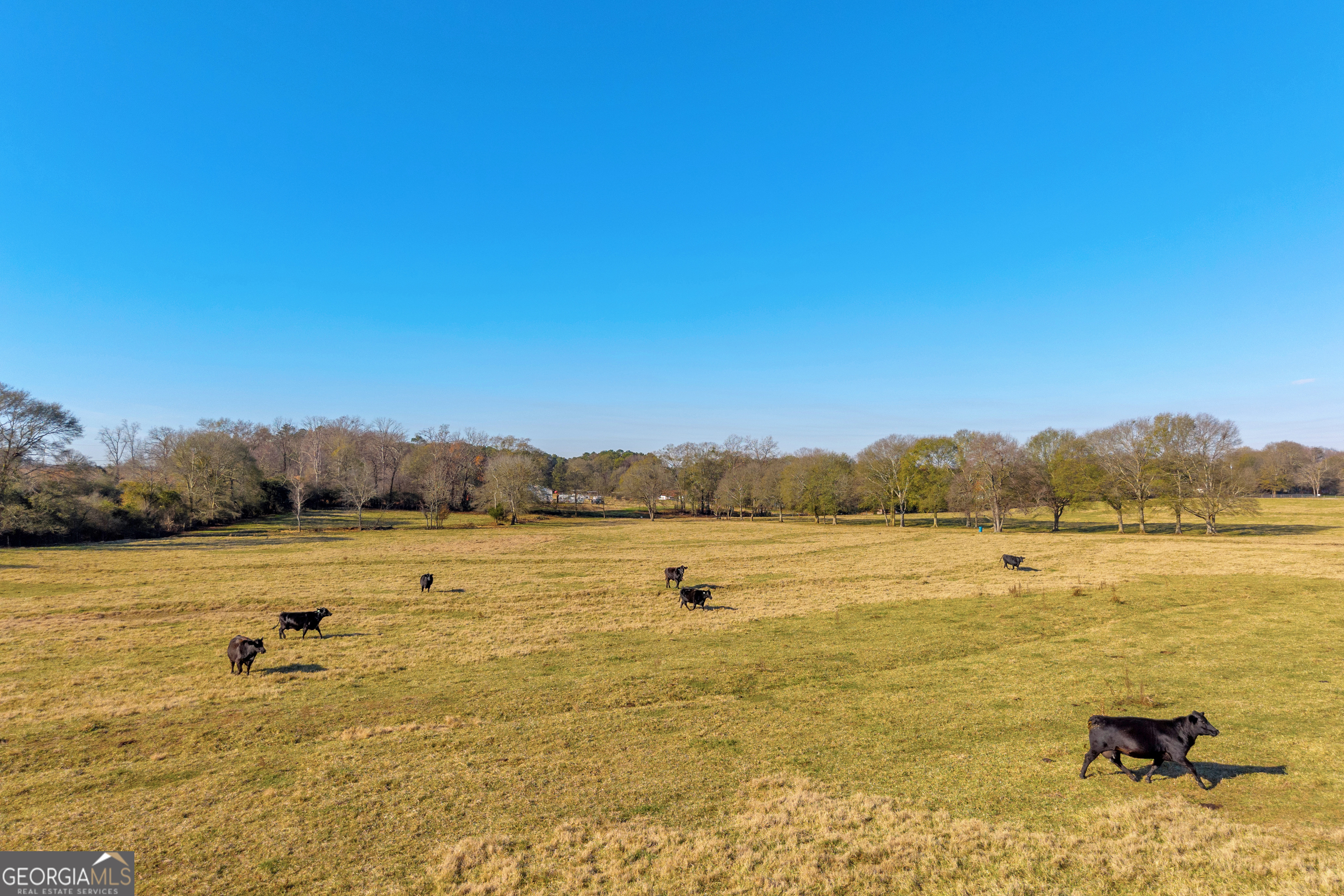 1191 Plain View Road Carnesville, GA 30521 - Photo 11 of 62 a view of an ocean