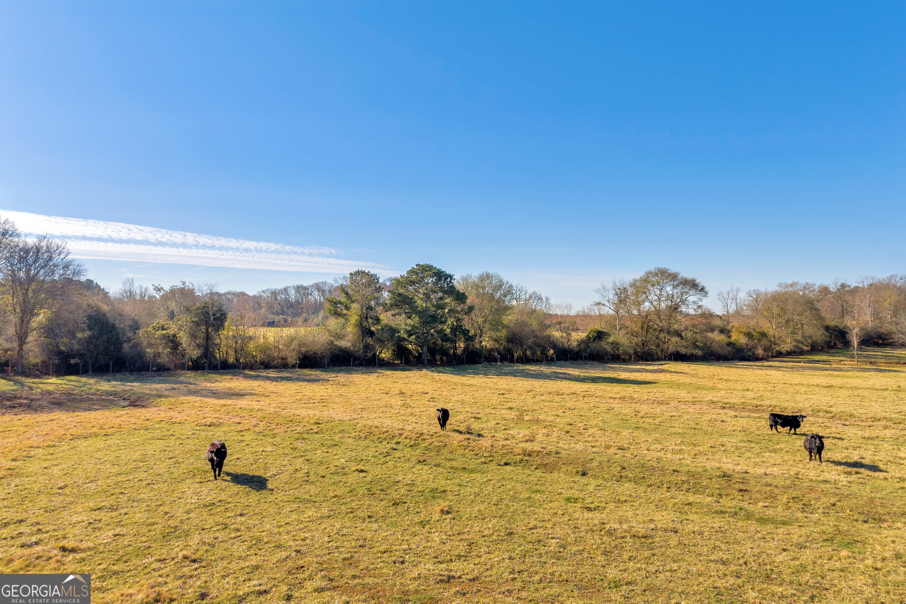 1191 Plain View Road Carnesville, GA 30521 - Photo 12 of 62 a view of an ocean