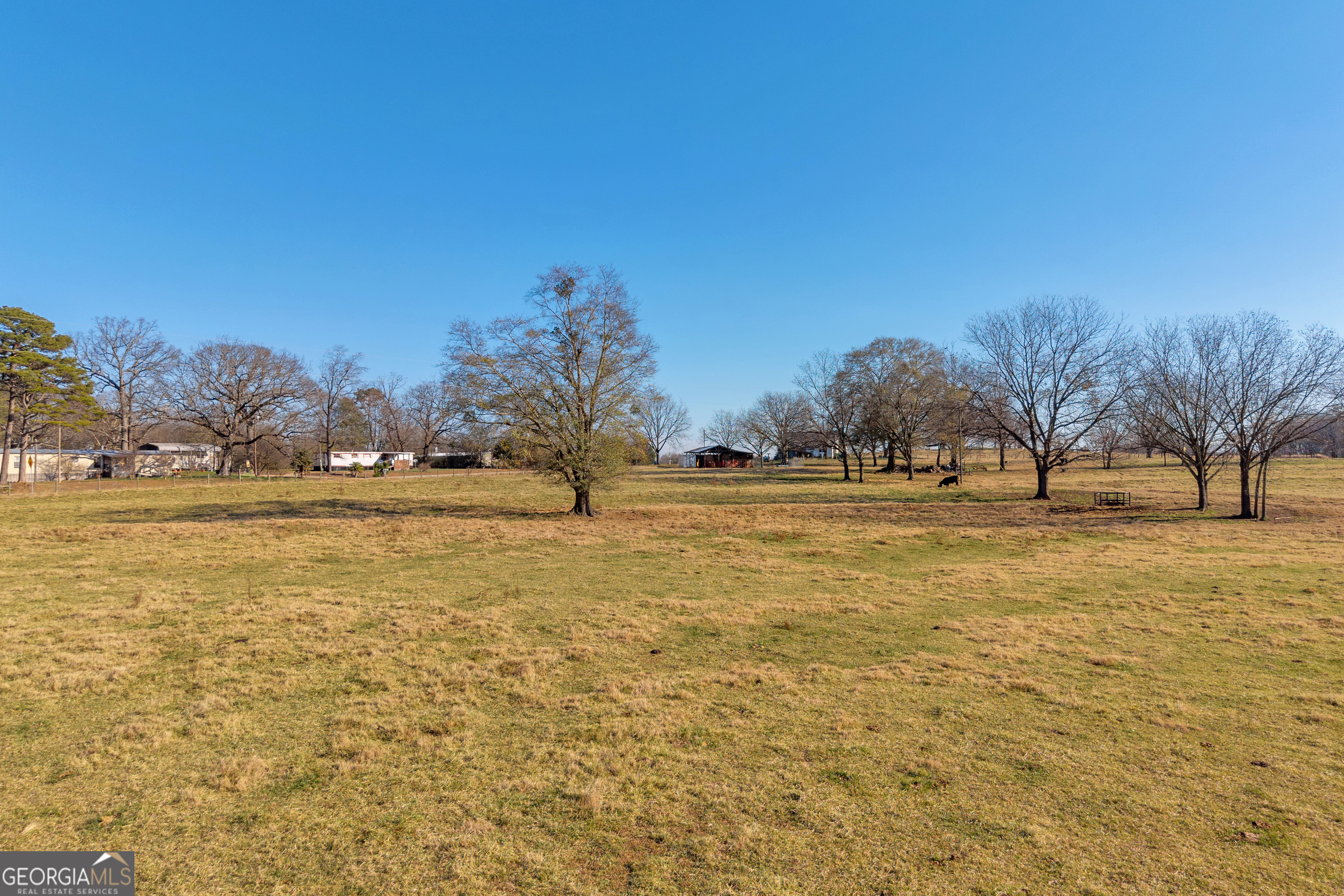 1191 Plain View Road Carnesville, GA 30521 - Photo 13 of 62