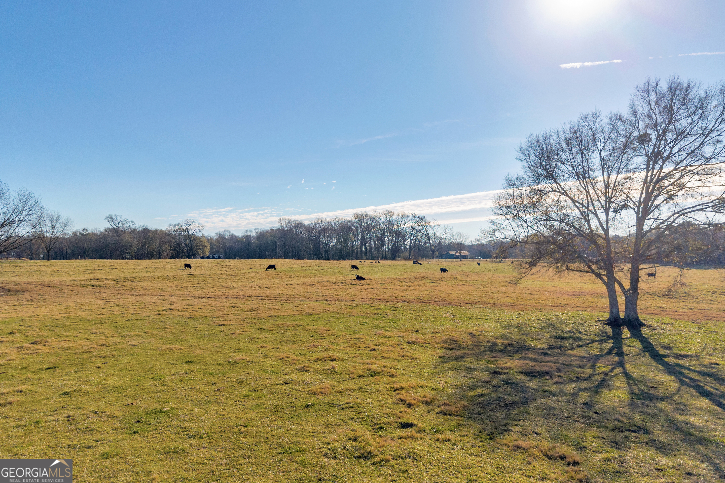 1191 Plain View Road Carnesville, GA 30521 - Photo 15 of 62 a view of an ocean