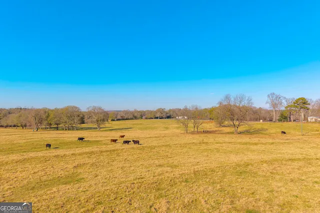 a view of swimming pool with outdoor seating and trees