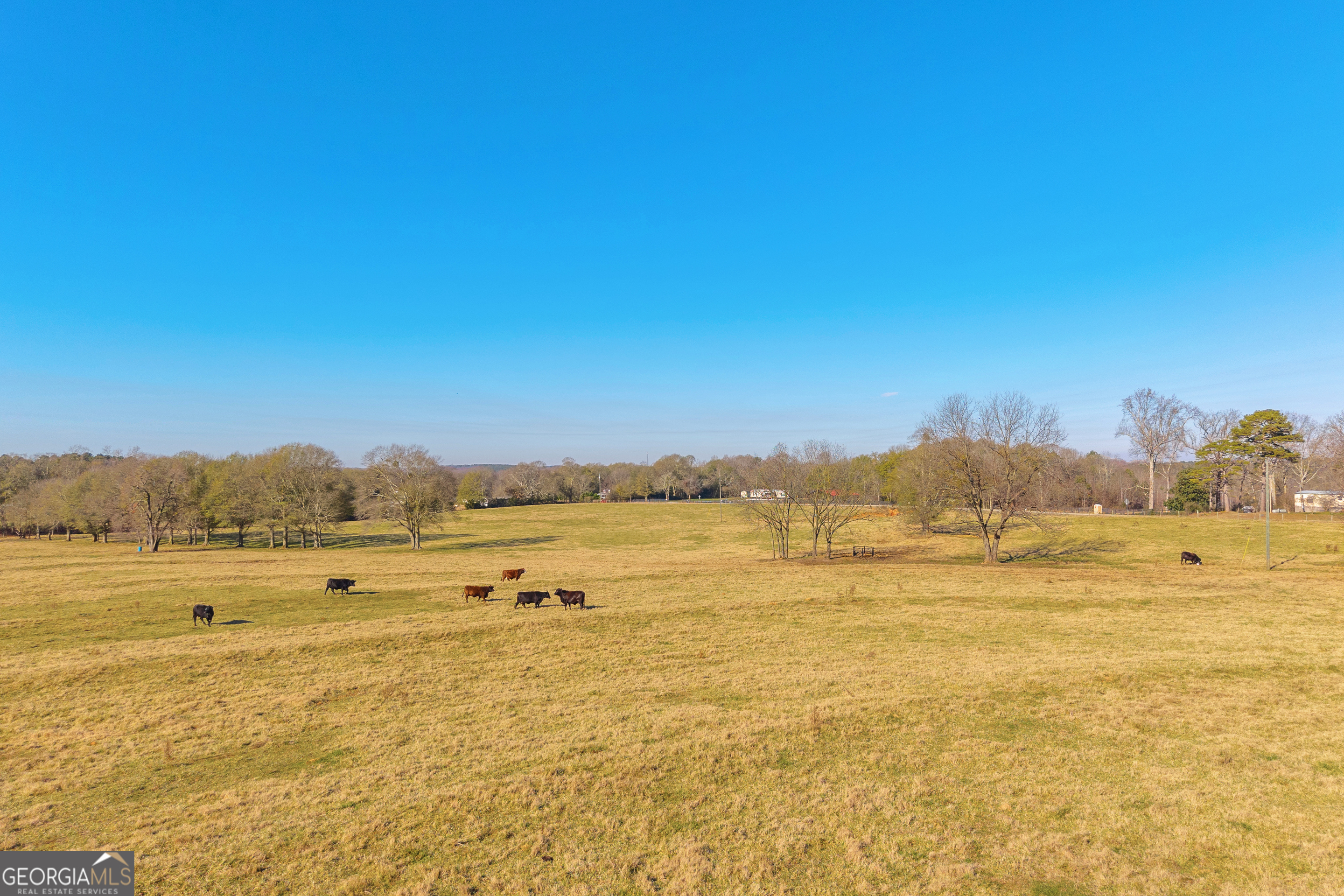 1191 Plain View Road Carnesville, GA 30521 - Photo 18 of 62 a view of an ocean