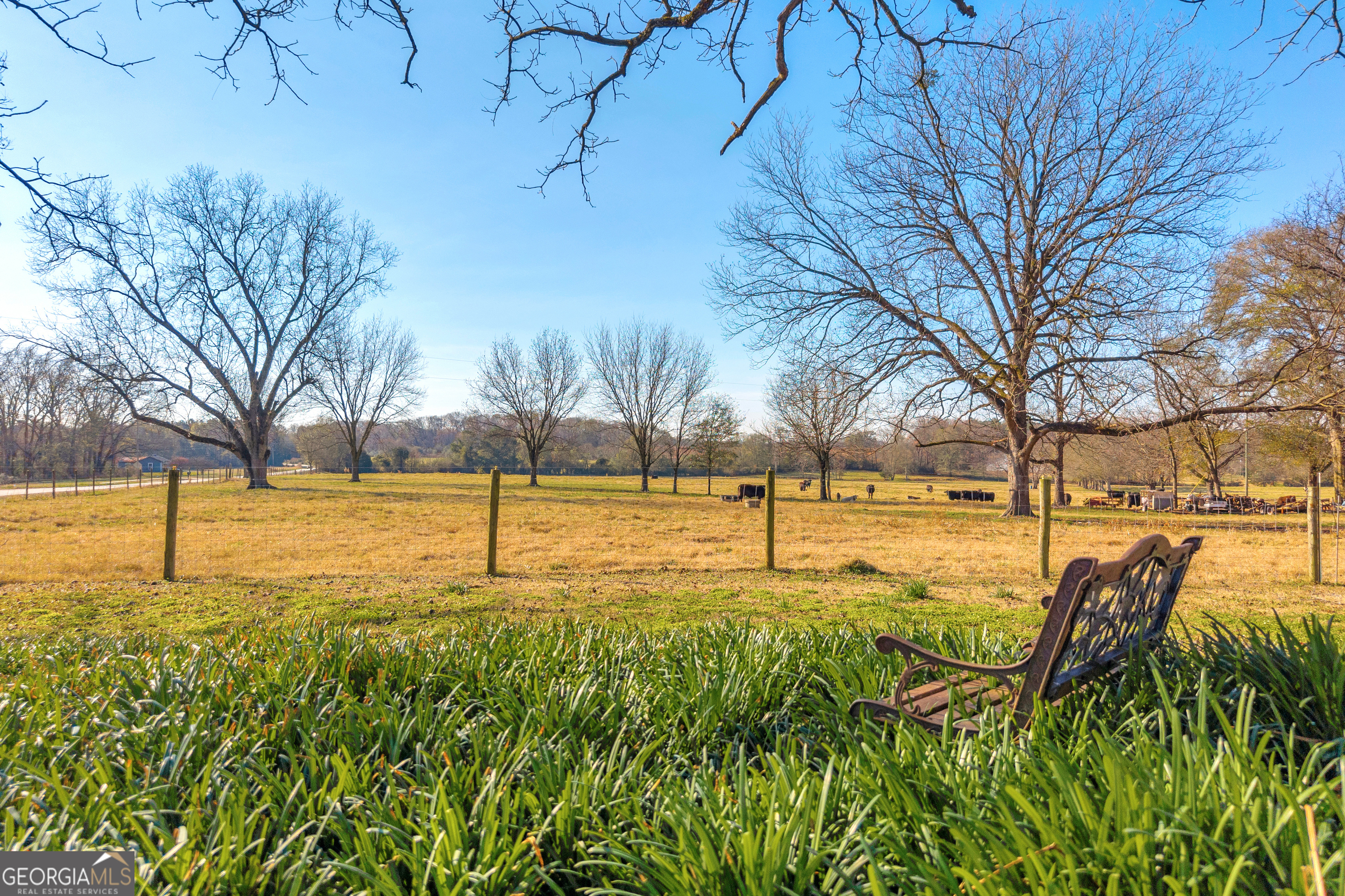 1191 Plain View Road Carnesville, GA 30521 - Photo 2 of 62 a view of yard with swimming pool