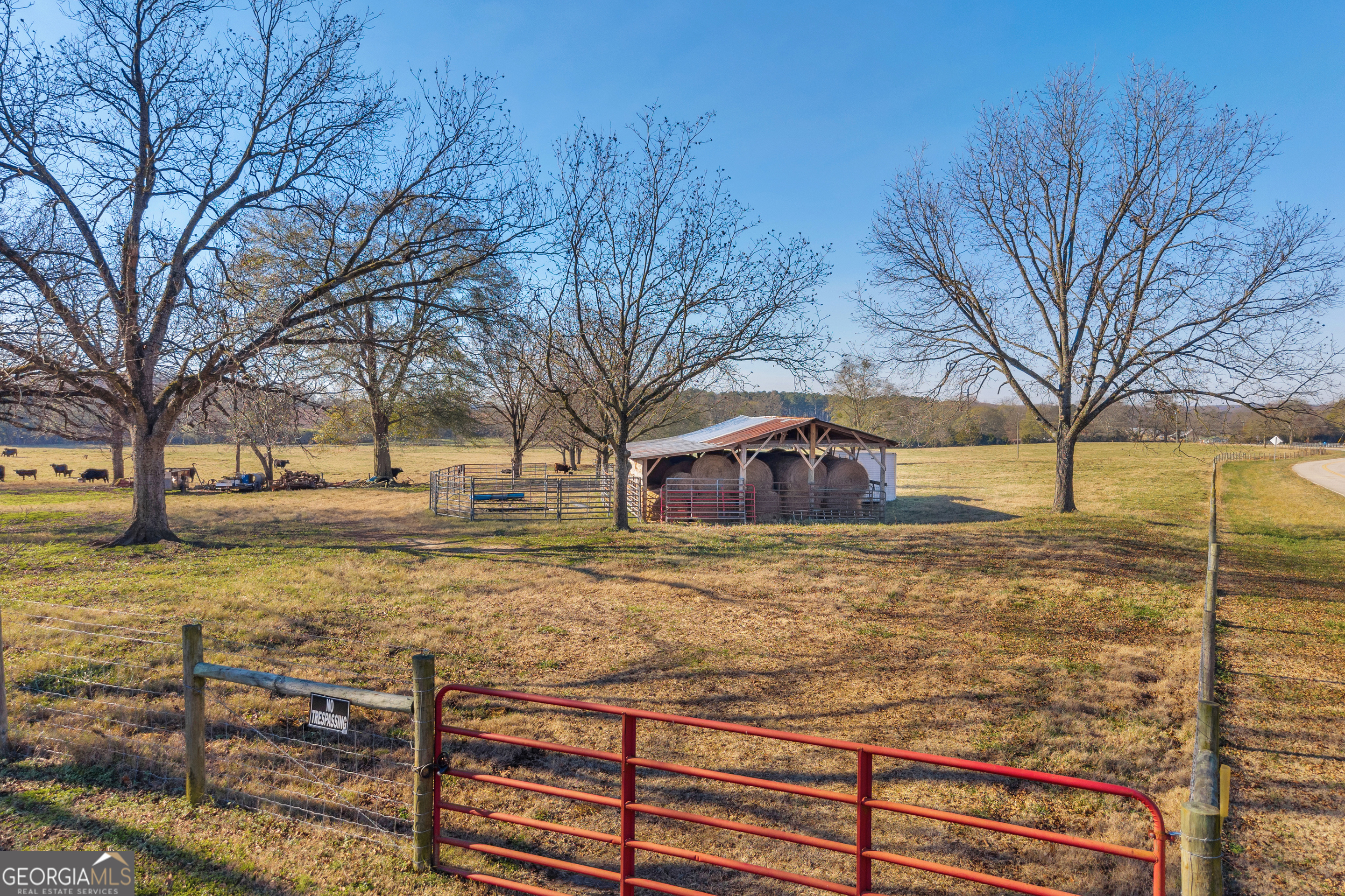 1191 Plain View Road Carnesville, GA 30521 - Photo 23 of 62 a view of a yard with a tree