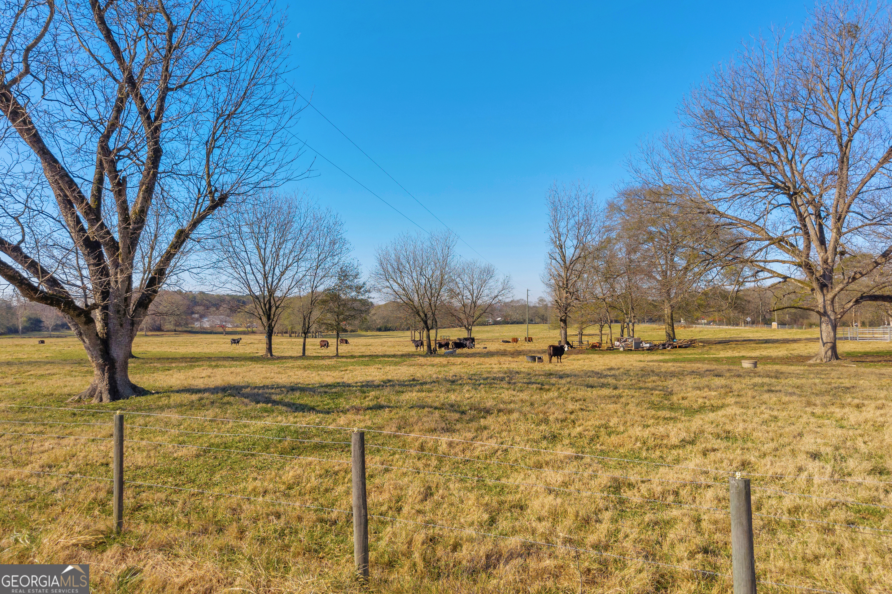 1191 Plain View Road Carnesville, GA 30521 - Photo 30 of 62 a view of yard with trees