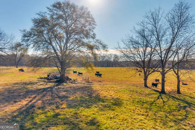 a view of swimming pool with an outdoor space