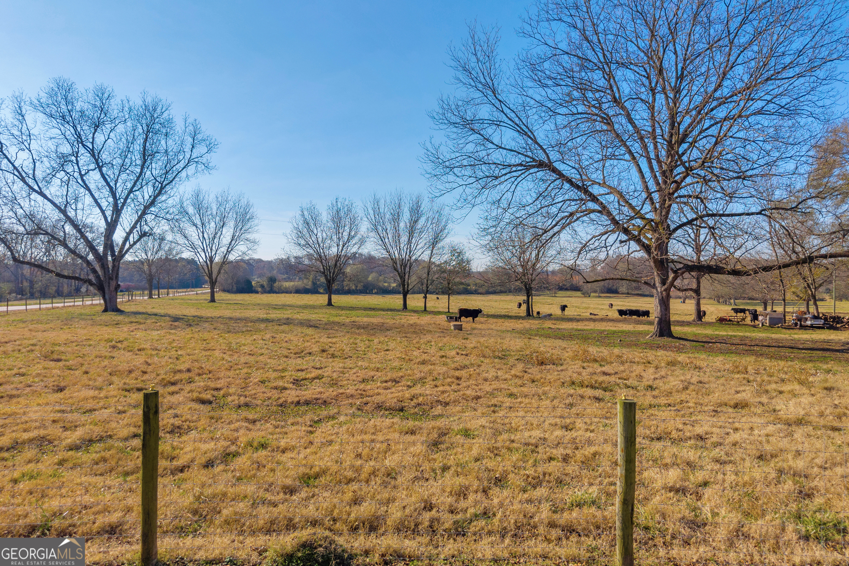 1191 Plain View Road Carnesville, GA 30521 - Photo 31 of 62 a view of yard with tree