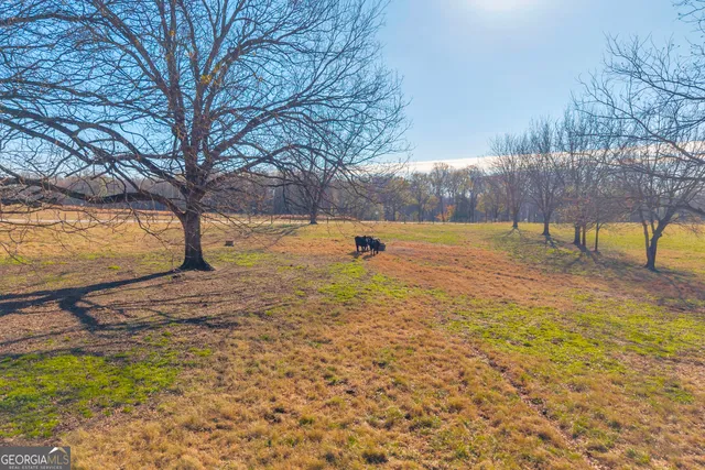 a view of an ocean and beach