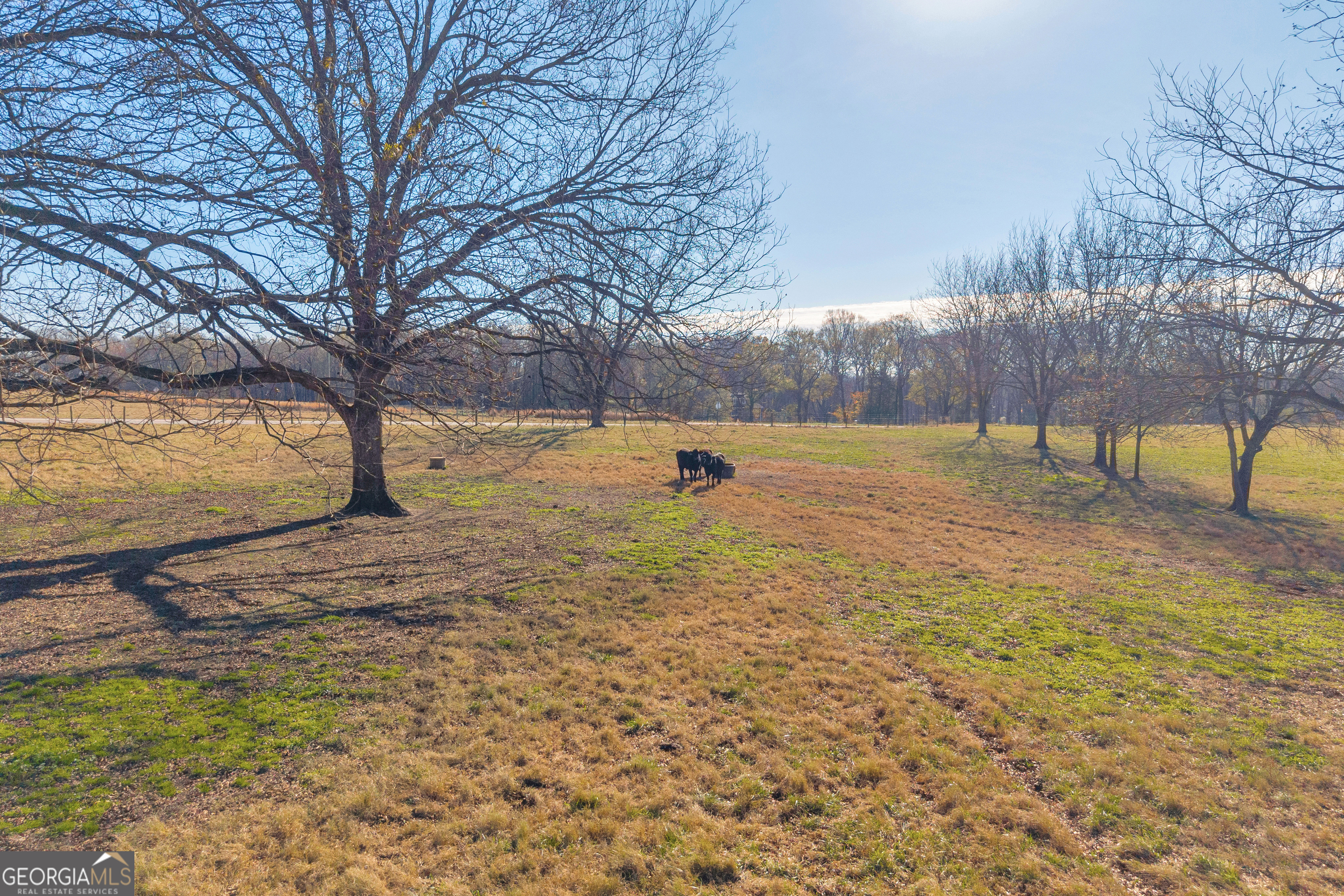 1191 Plain View Road Carnesville, GA 30521 - Photo 34 of 62 a view of outdoor space with trees