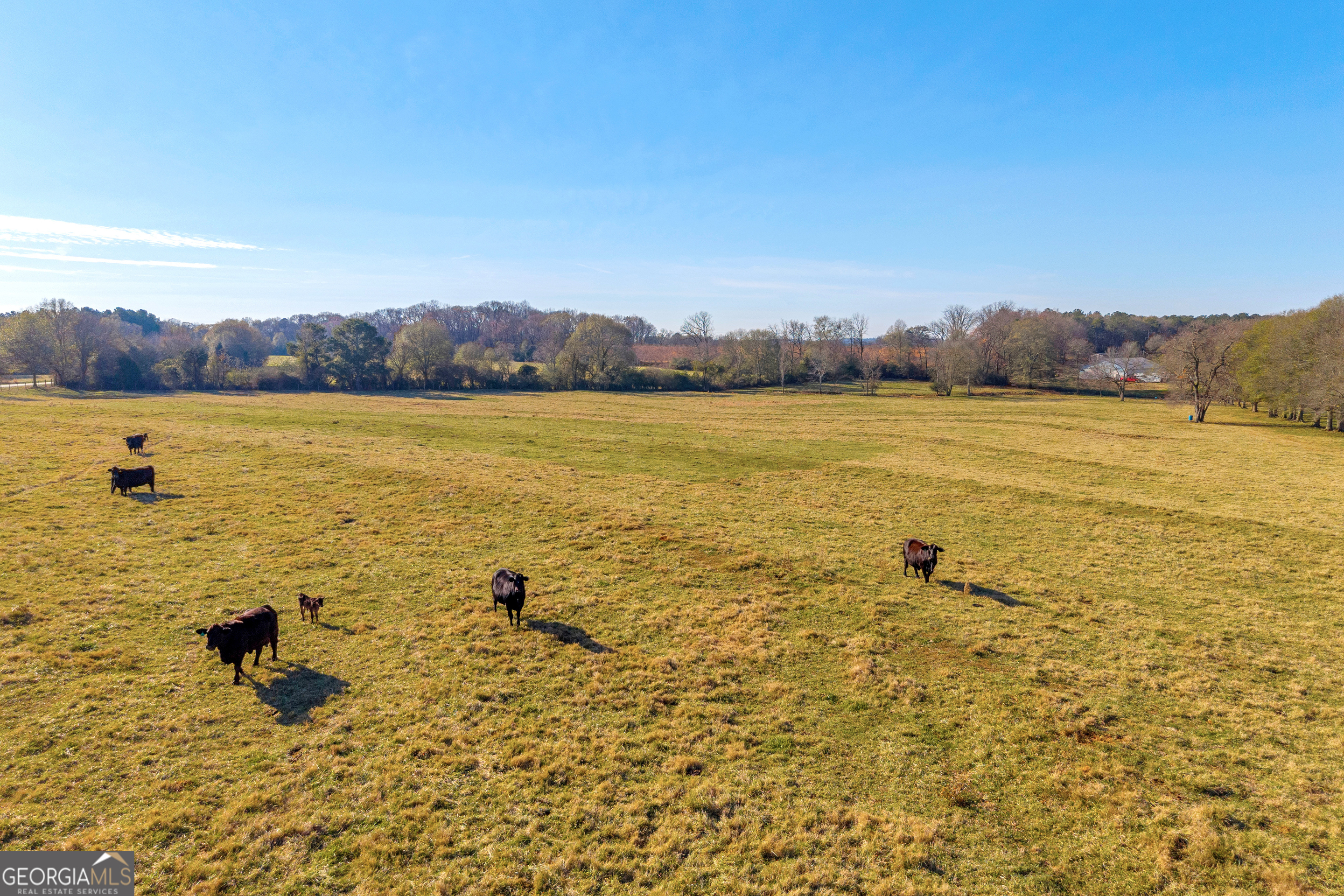 1191 Plain View Road Carnesville, GA 30521 - Photo 38 of 62 a view of an ocean and beach